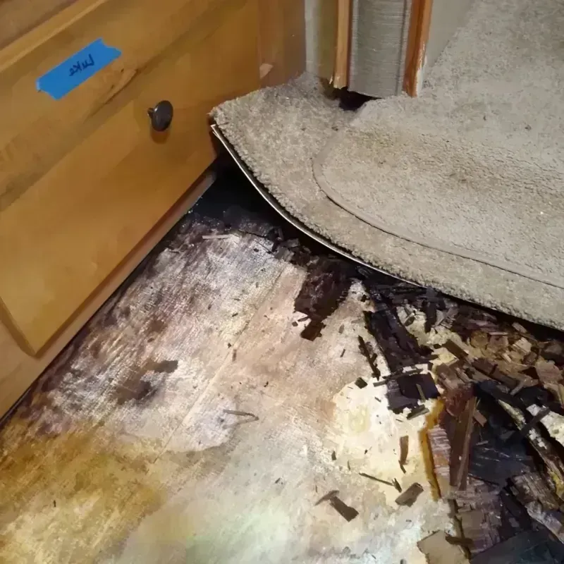 Wood Floor Water Damage in Forest Grove, OR